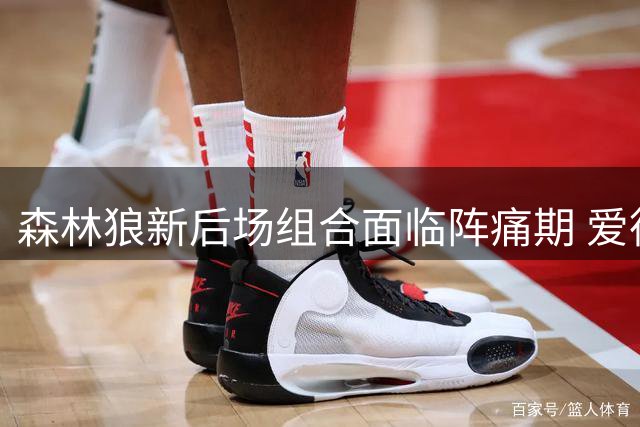 森林狼新后场组合面临阵痛期 爱德华兹直言磨合需时间