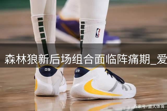 森林狼新后场组合面临阵痛期 爱德华兹直言磨合需时间