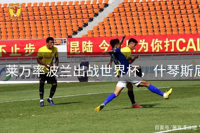 莱万率波兰出战世界杯，什琴斯尼等名将入选大名单